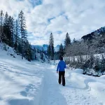 Готель Valara Alpine Art 4*