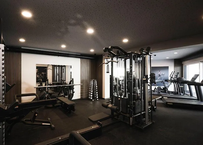 Valara Alpine Art Hotell